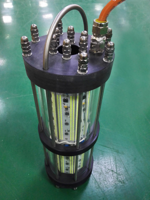 Hydraulic Pressure Resistant Green Led Fishing Lights For Fish Hatchery 